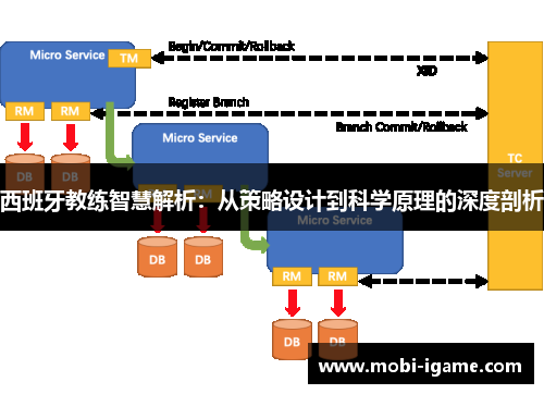 西班牙教练智慧解析：从策略设计到科学原理的深度剖析
