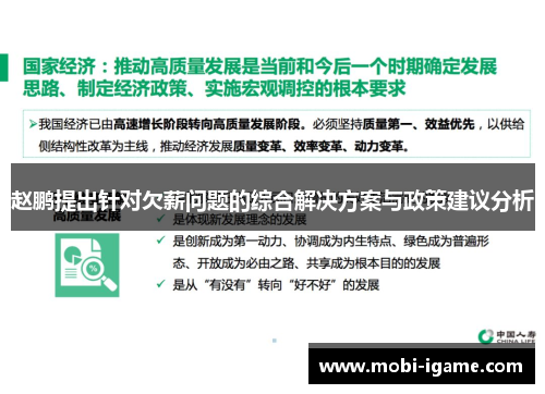 赵鹏提出针对欠薪问题的综合解决方案与政策建议分析