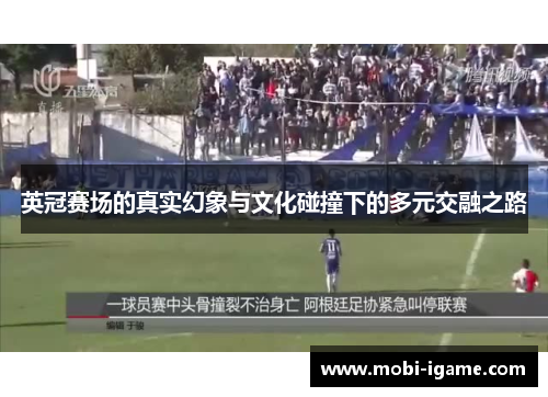 英冠赛场的真实幻象与文化碰撞下的多元交融之路