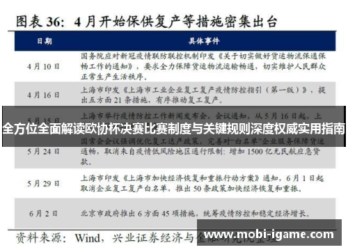 全方位全面解读欧协杯决赛比赛制度与关键规则深度权威实用指南