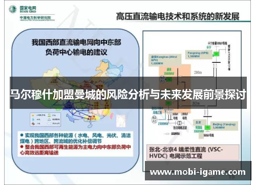 马尔穆什加盟曼城的风险分析与未来发展前景探讨