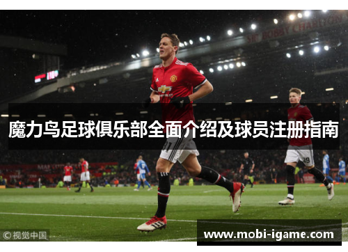 魔力鸟足球俱乐部全面介绍及球员注册指南
