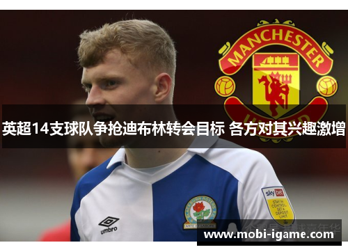 英超14支球队争抢迪布林转会目标 各方对其兴趣激增