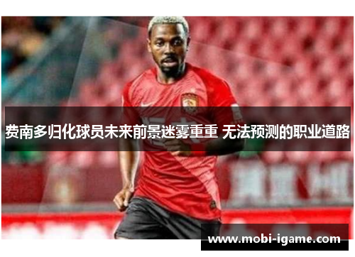 费南多归化球员未来前景迷雾重重 无法预测的职业道路